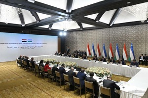 Египетская Orascom может построить в Узбекистане ВЭС на 100 МВт