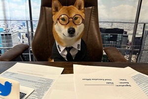 Курс токена Floki вырос на 46% после нескольких твитов Илона Маска