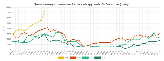 eastfruit, narx, pomidor, tahlil