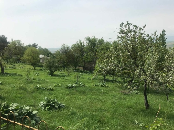 зона отдыха, аукцион, бостанлык