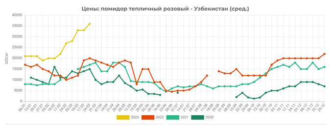 eastfruit, narx, pomidor, tahlil