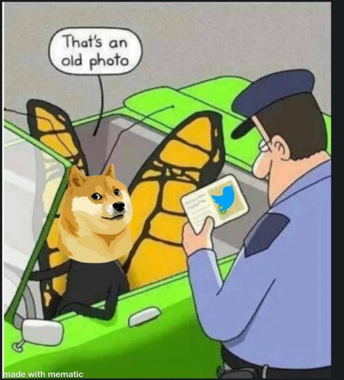 dogecoin, twitter, криптовалюта