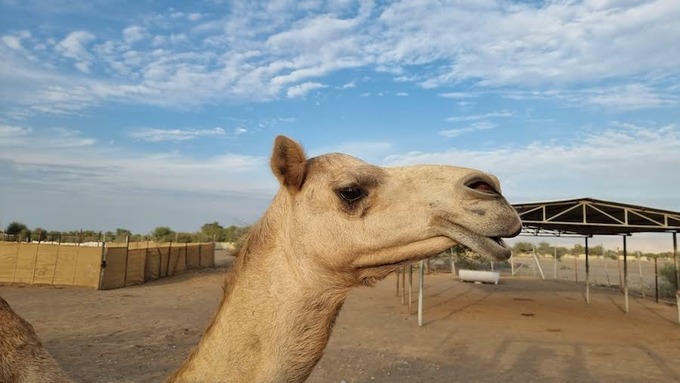 личный опыт, путешествия