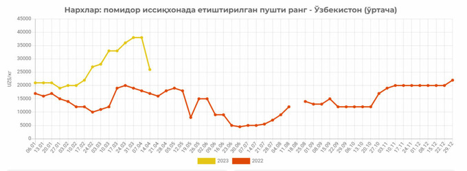 eastfruit, narxlar, pomidor, tahlil