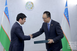 Xitoy kompaniyasi Sirdaryoda $50 mlnlik agrologistika parki quradi