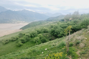 Yerlarni mulk huquqi asosida sotib olishda bo‘lib to‘lashga ruxsat beriladi