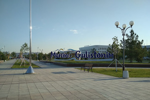 В восьми районах Сырдарьинской области будут созданы новые промзоны