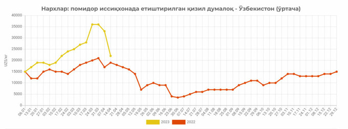 eastfruit, narxlar, pomidor, tahlil