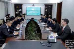 Китайская CITIC построит под Хавастом агрологистический парк