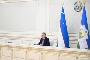 Возврат соцналога за найм молодых сотрудников продлят до 2025 года