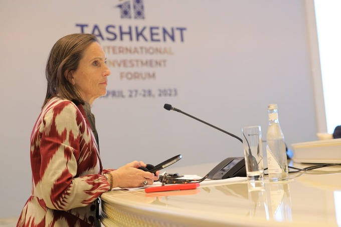 помидоры, сельское хозяйство, ташкентский инвестиционный форум, томаты