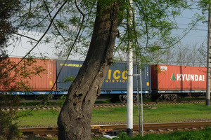 В 2023 году объем внешней торговли Узбекистана превысил $60 млрд