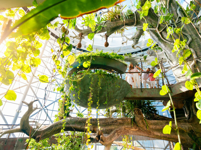 путешествие, дубай