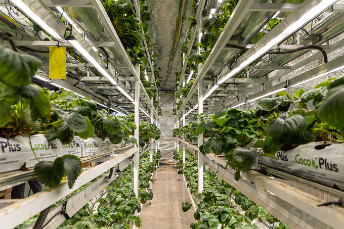 На поддержку научных проектов в сельском хозяйстве выделят $5 млн