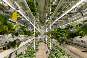 На поддержку научных проектов в сельском хозяйстве выделят $5 млн