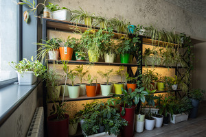 Комитет по конкуренции одобрил поглощение фирмы The House of Flowers