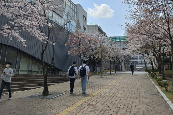 azada nizamatdinova, janubiy koreya, xorijda ta'lim