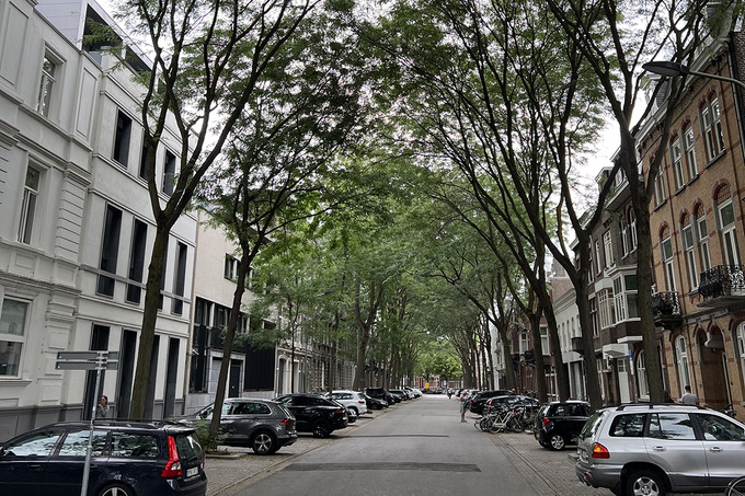 germaniya, work and travel