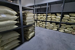 Toshkent aeroportida 8,5 tonna giyohvandlik moddasi aniqlandi