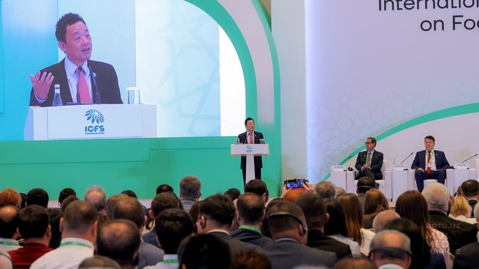 konferensiya, oziq-ovqat, samarqand, xavfsizlik