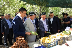 Первая в Узбекистане «туристическая махалля» появилась в Самарканде