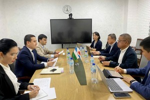 Японская Hanwa займётся установкой солнечных панелей в Узбекистане