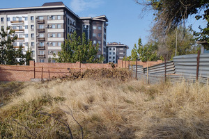 В районе станции метро «Беруни» на продажу выставили участок земли