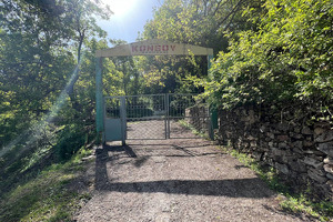 На аукцион выставили лагерь «Консой» в горах Бостанлыкского района