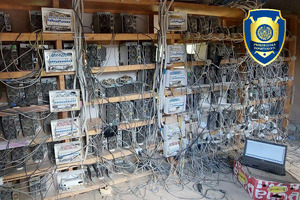 Surxondaryoda davlatga 425,7 mln so‘m zarar yetkazgan mayning ferma aniqlandi