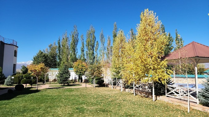 аукцион, зона отдыха, чарвак