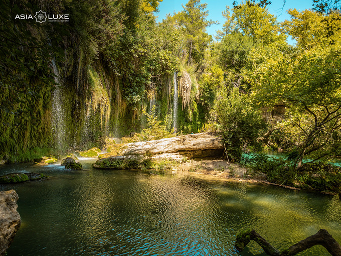 asialuxe travel, реклама