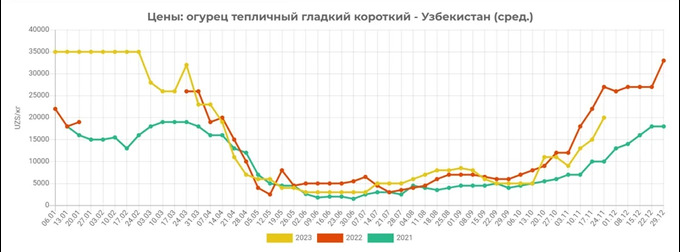 bodring, narxi, eastfruit, tahlil