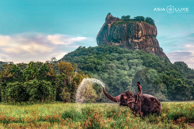 asialuxe travel, реклама