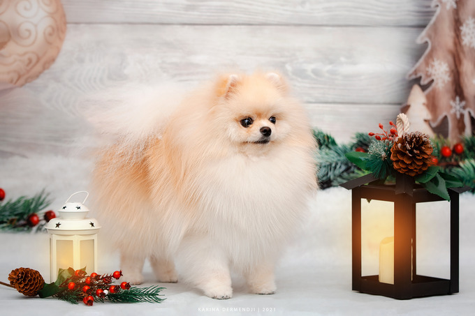 идеи для бизнеса, итоги 2023