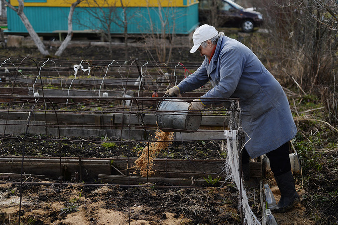 Семейным предпринимателям разрешили нанимать пять работников