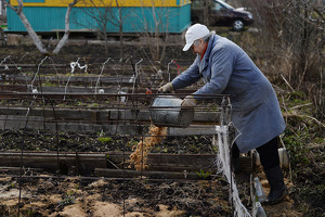 Семейным предпринимателям разрешили нанимать пять работников
