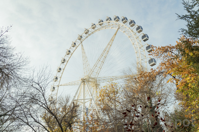 central park, парк