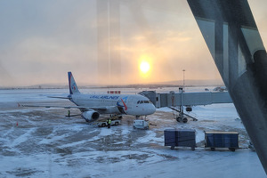 «Уральские авиалинии» требуют вернуть допуски к зарубежным рейсам