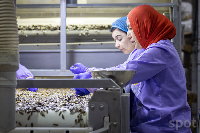 ermak, семечки, снеки