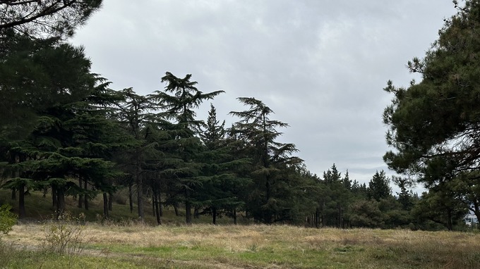 gruziya, sayohat, shaxsiy tajriba, tbilisi