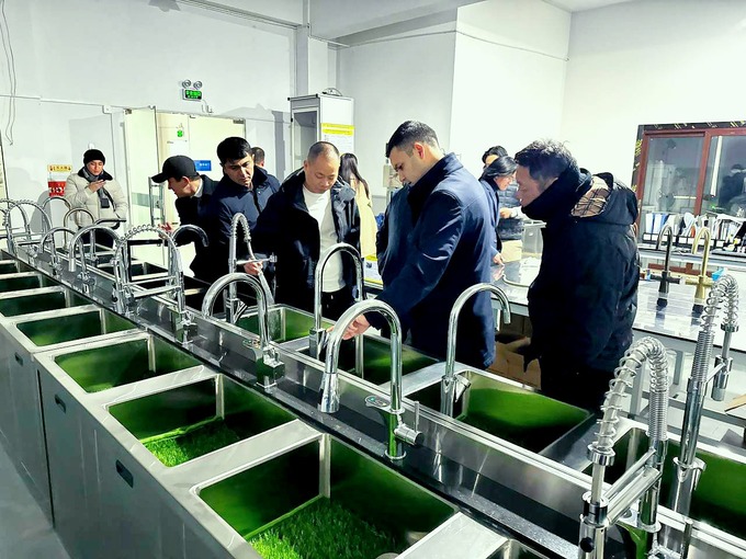 инвестиции, китай, ташкент, фотоэлектростанция