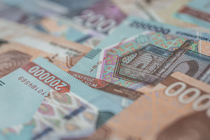 Лимит внешних заимствований в 2024 году увеличили до $7,3 млрд