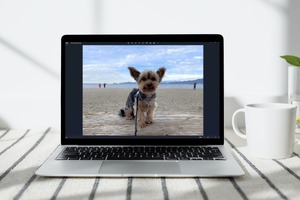 Microsoft Windowsga rasmlarni tahrirlovchi sun’iy intellekt vositasini qo‘shadi