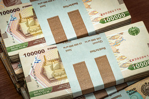 O‘zini o‘zi band qilgan fuqarolarga 100 mln so‘mgacha garovsiz kreditlar beriladi