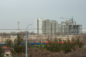 Issiqxonalar, mazut, AI-80: poytaxt havosini yaxshilash choralari tasdiqlandi