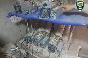 Buxoroda mayning ferma tashkil etgan xonadonlar aniqlandi