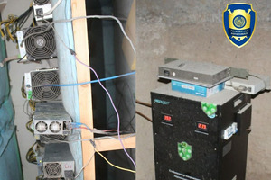 Zangiota tumanida mayning ferma tashkil etgan fuqaro aniqlandi