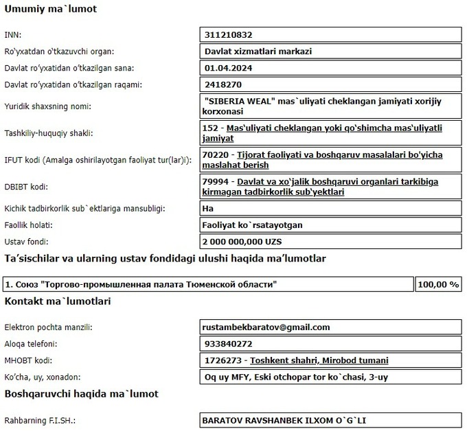консультанты, россия, тюмень