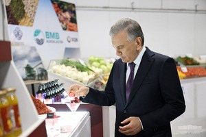 BMB Holding планирует нарастить производство шафрана более чем в 10 раз