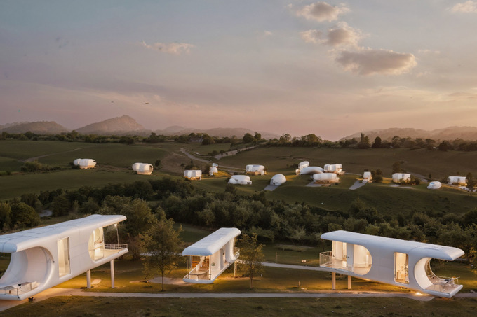 wayll, реклама